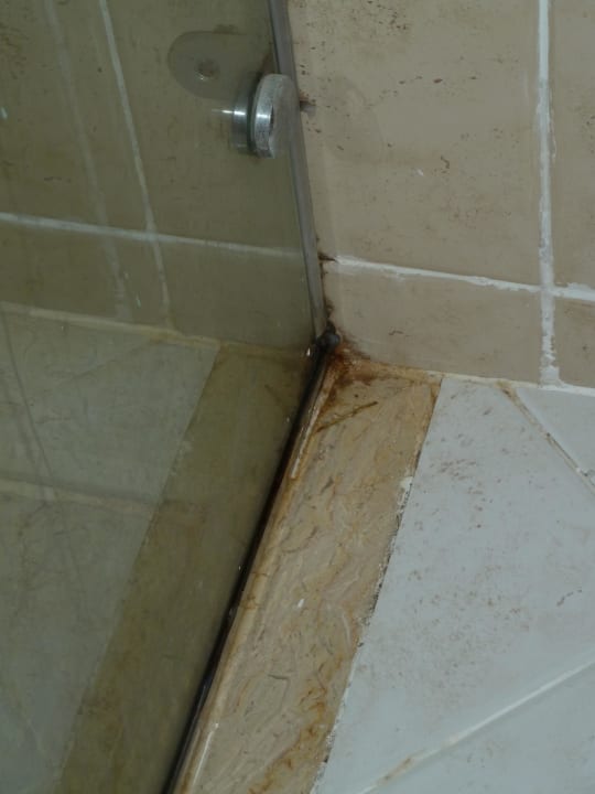 Fugen in der Dusche Serenity Alpha Beach