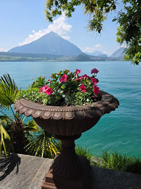 Ausblick Beatus Wellness- & Spa-Hotel