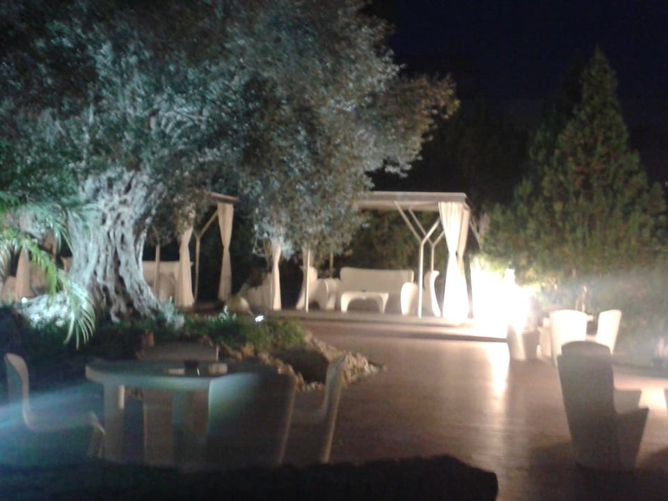 Gartenbereich am Pool  allsun Hotel Cormoran