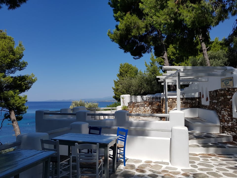 Gartenanlage Hotel Virginia