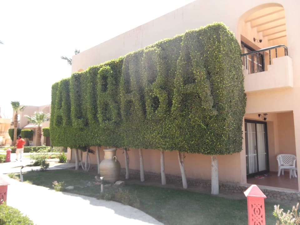 Ali Baba tree design Ali Baba Palace Resort