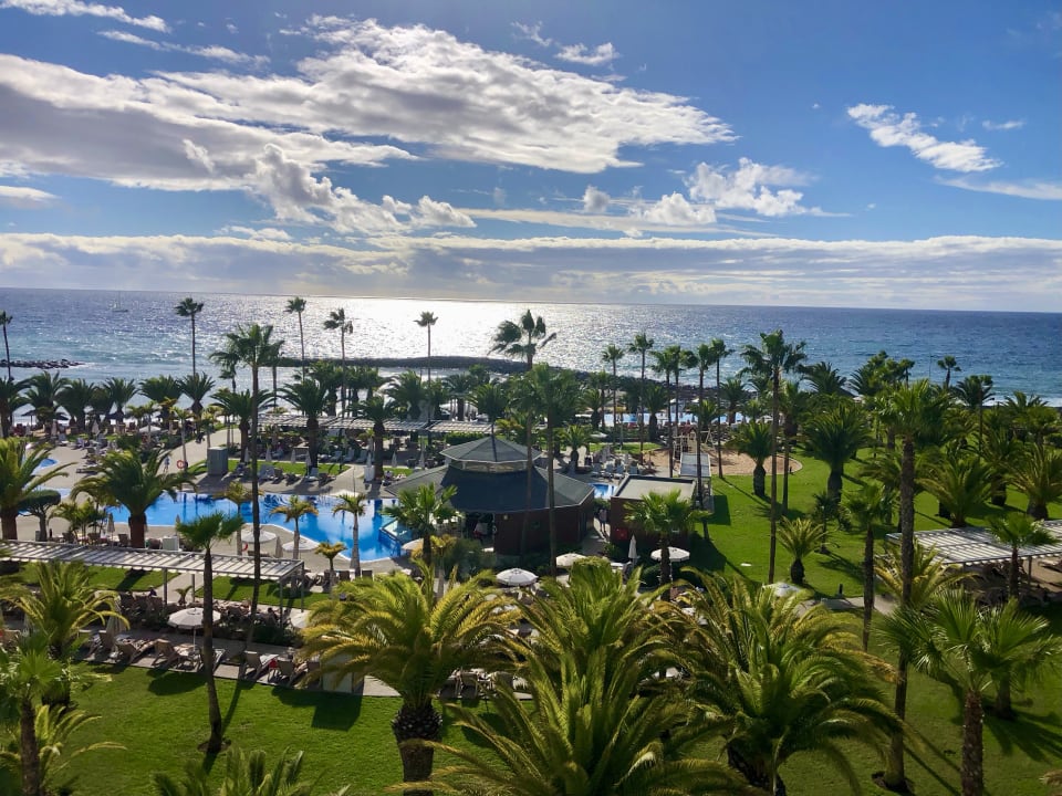 "Palmengarten mit Ausschni..." Hotel Riu Palace Tenerife (La Caleta de
