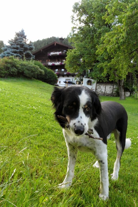 Welt bester Hund- durften ihn leider nicht mitnehm Hotel Limberghof