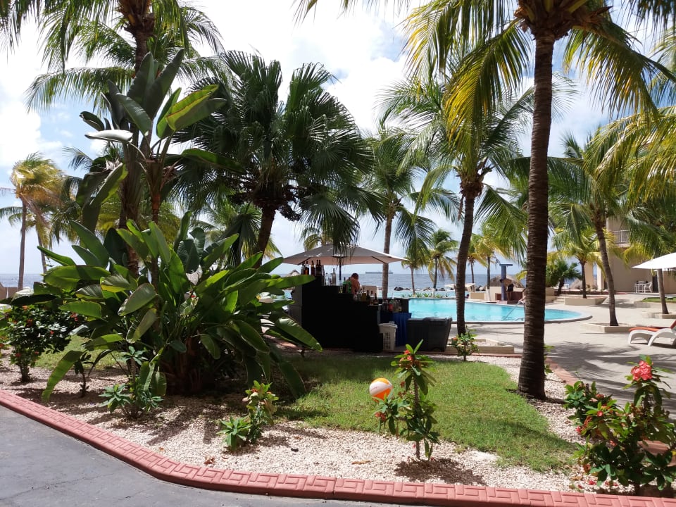 Pool Sunscape Curaçao Resort, Spa & Casino