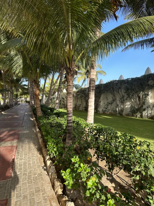Gartenanlage Hotel Riu Karamboa