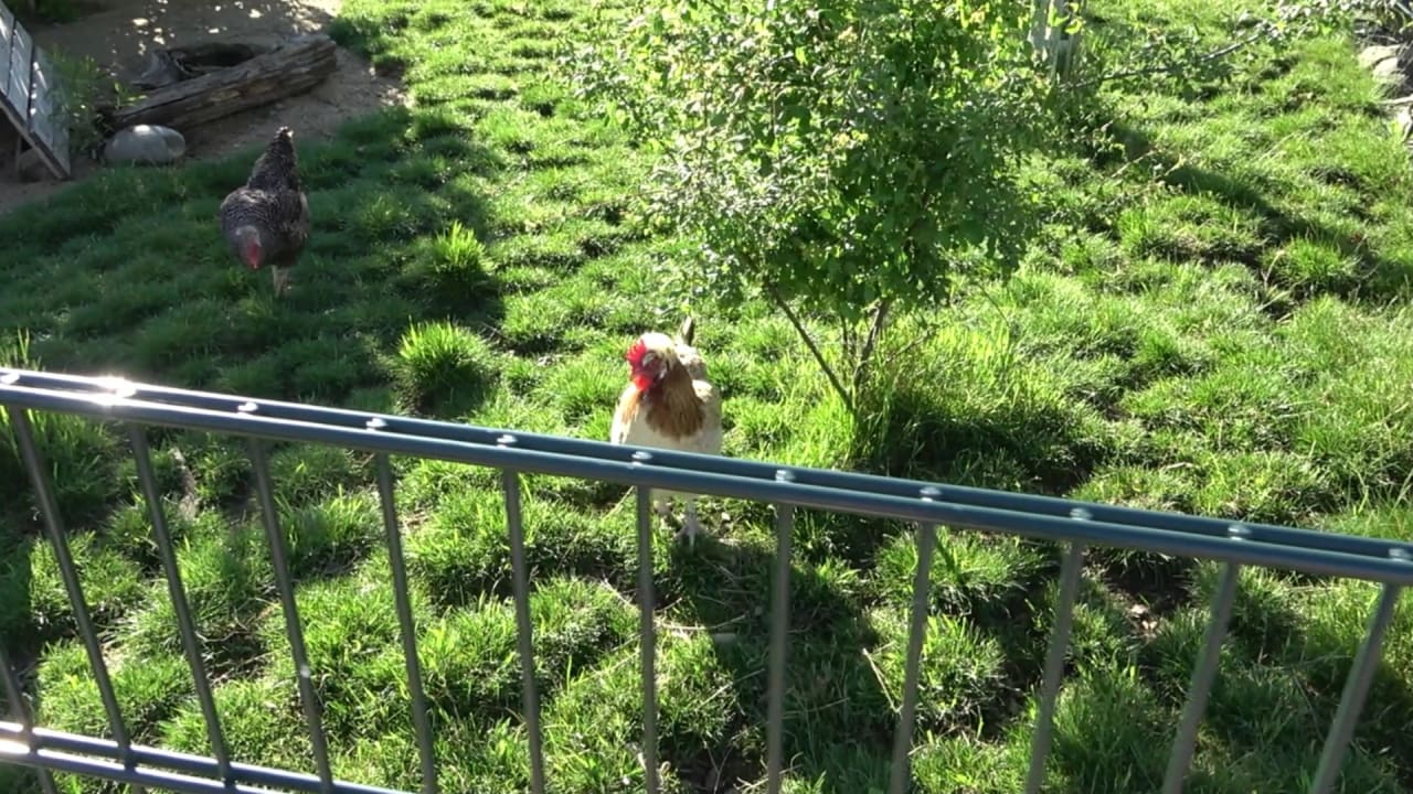 Sport & Freizeit Center Parcs Park Allgäu