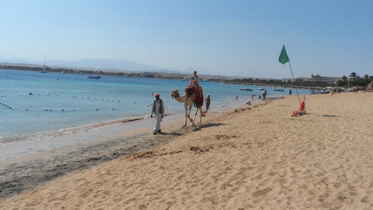 Oscar reiten Grand Waterworld Makadi & Family Star Makadi