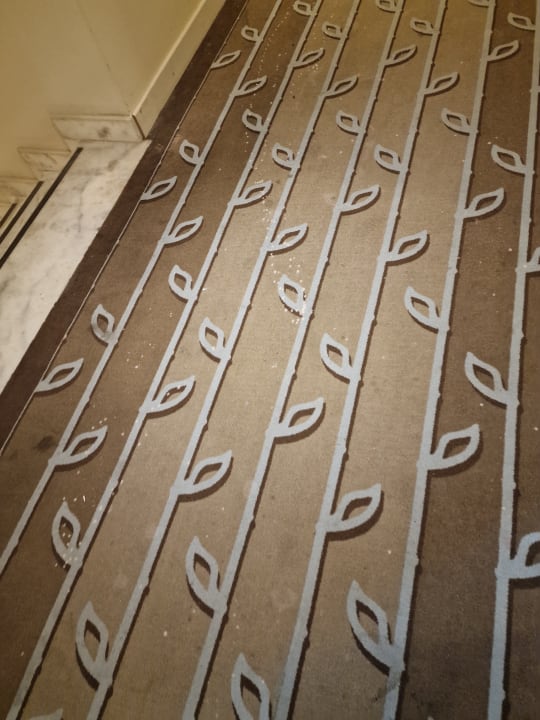 Zimmer Marvida Family Eco