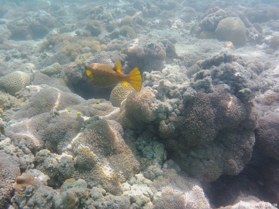 Strand Hotel Caves Beach Resort (Adults Only)