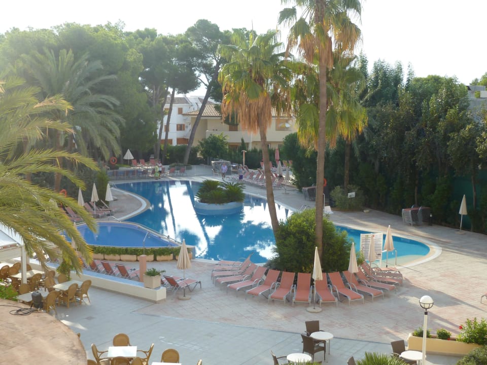 Kein Handtuchlegen! Aufnahme um 9:00 Uhr morgens Aparthotel Ivory Playa