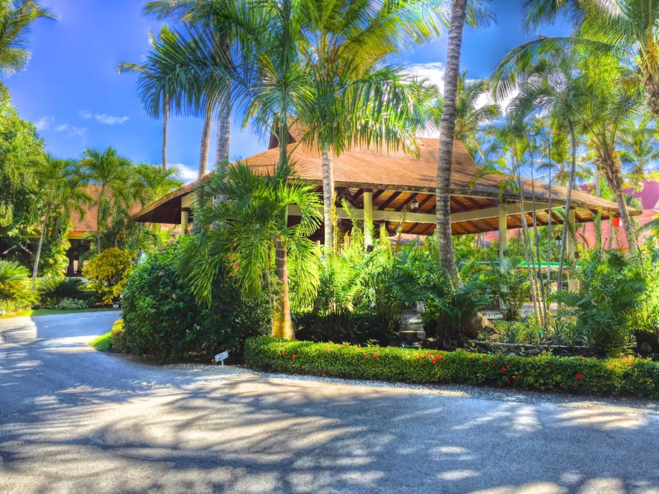 Lobby  TRS Turquesa Hotel - Adults only