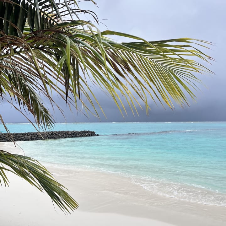 Strand Summer Island Maldives