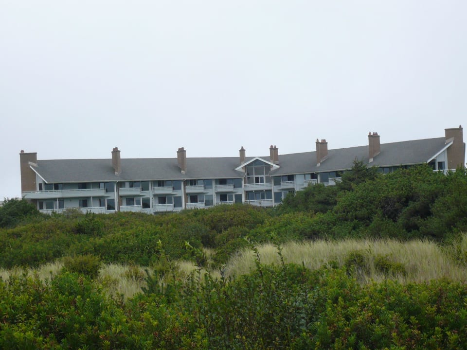 Hinter den Dünen Hotel The Grey Gull