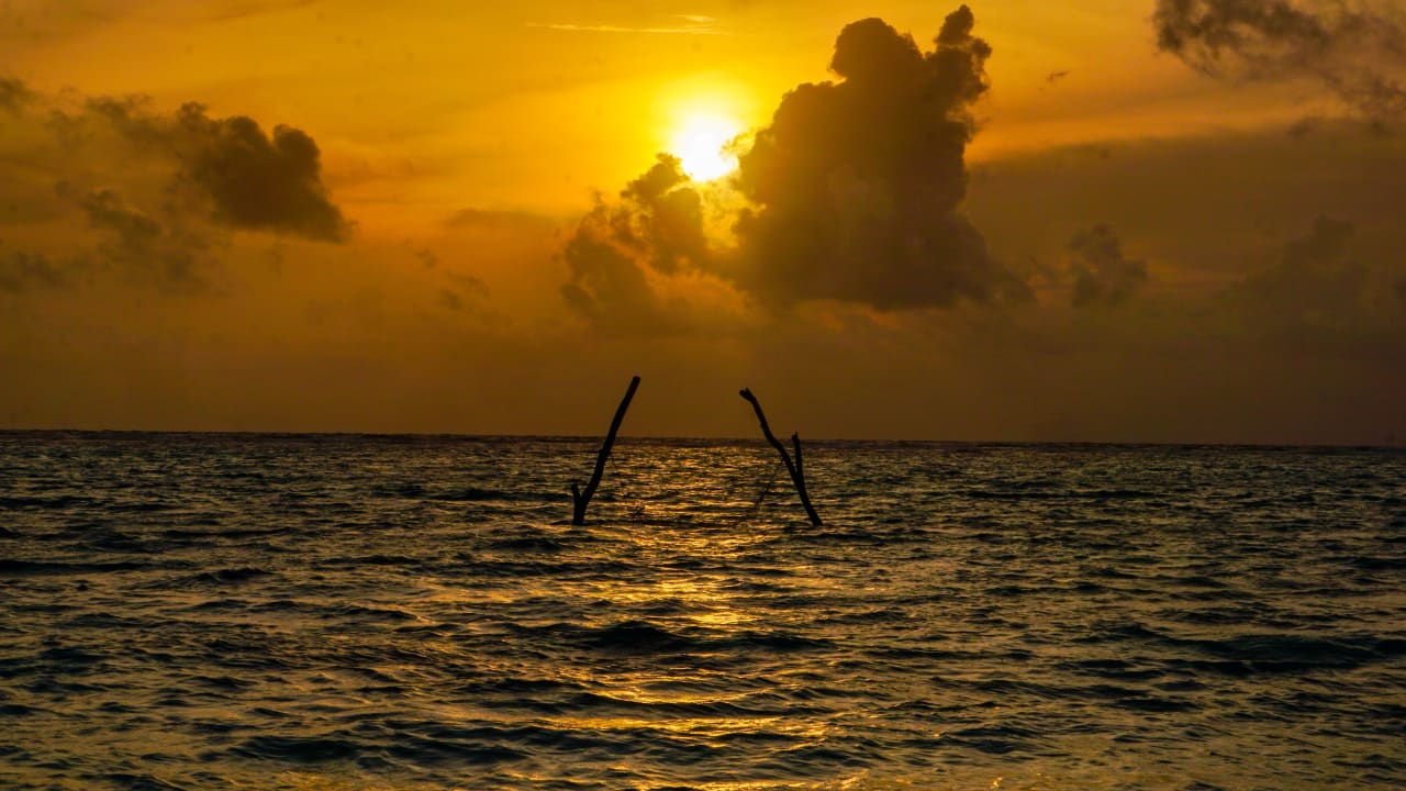 Ausblick Summer Island Maldives