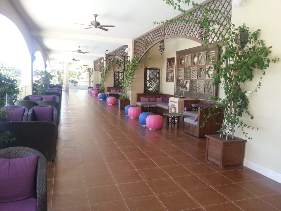 Shisha-Bar Paloma Oceana