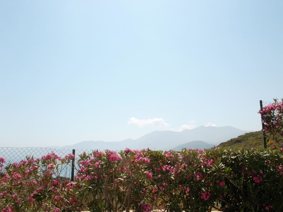 Poolbar Grand Hotel Holiday Resort