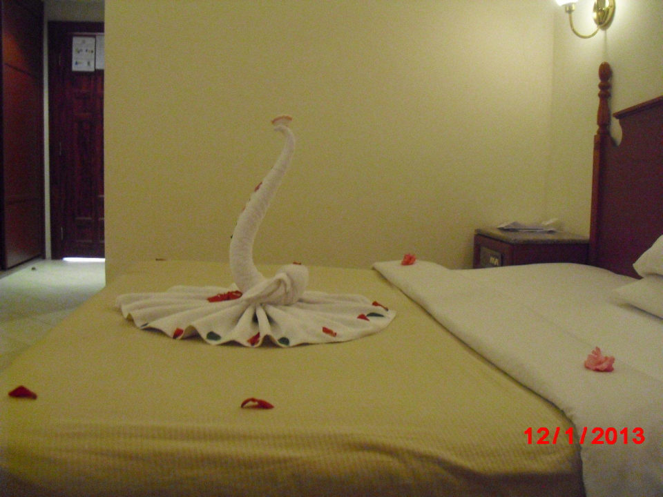 Старания горничного Aladdin Beach Resort