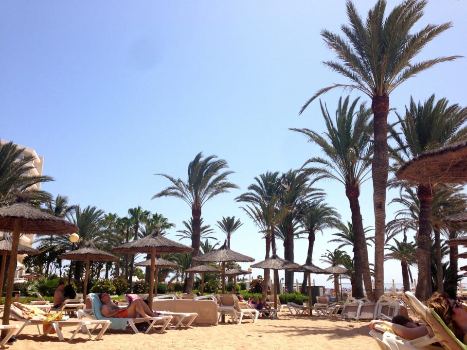 Sandstrand auch innerhalb des Geländes Hotel Riu Oliva Beach - Hotel