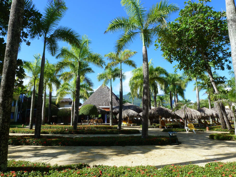 Poolrestaurant Iberostar Waves Costa Dorada