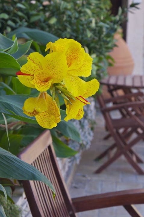 Flower seating Ino Village Hotel