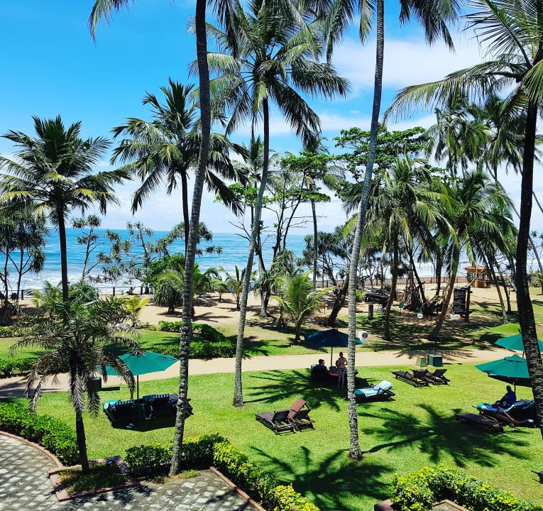 Gartenanlage Royal Palms Beach Hotel