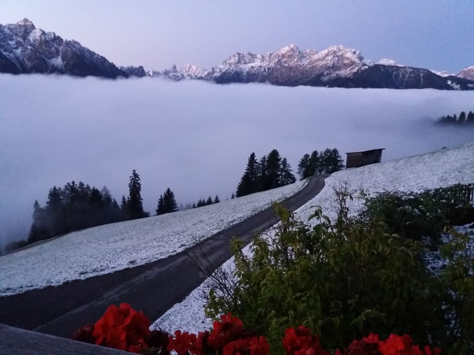 Ausblick Nigglerhof