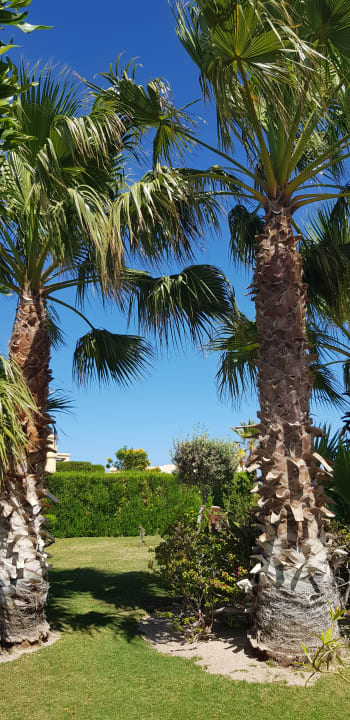 Gartenanlage Hotel Sheraton Soma Bay Resort