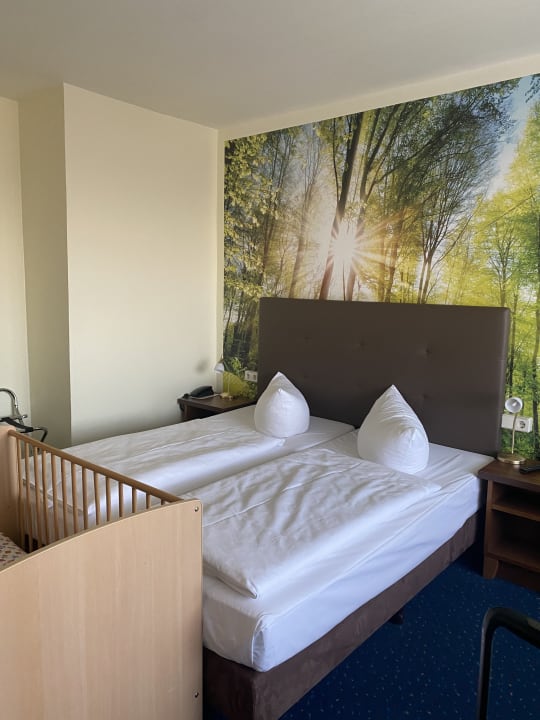 Zimmer AHORN Berghotel Friedrichroda