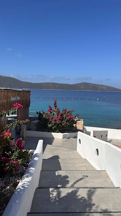Strand TUI MAGIC LIFE Bodrum - Adult Only (16+)
