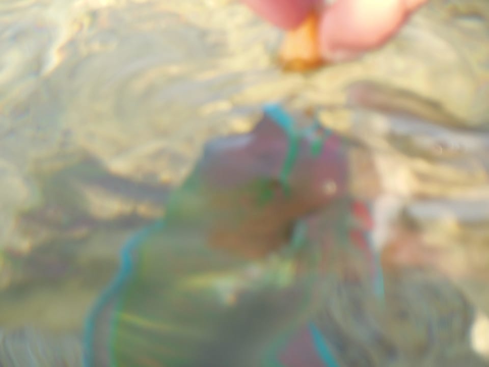 Fisch Three Corners Sea Beach Resort