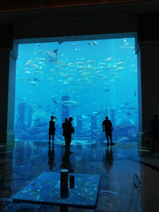 Sport & Freizeit Atlantis, The Palm