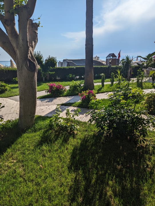 Gartenanlage Nerton Hotel - Erwachsenenhotel ab 16 Jahren