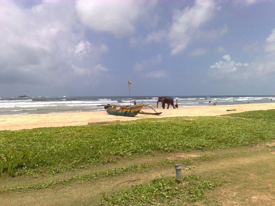 Ausblick von der Bar aufs Meer EKHO Surf