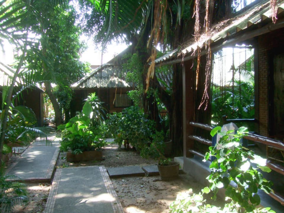 Blick in den Garten Hotel The Cottage