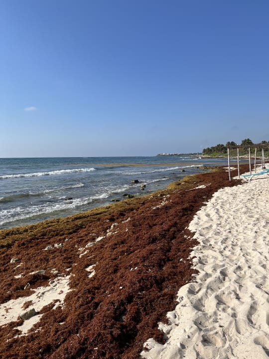 Strand Akumal Bay Beach & Wellness Resort