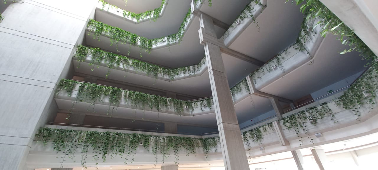 Sonstiges Hipotels Mediterraneo Club