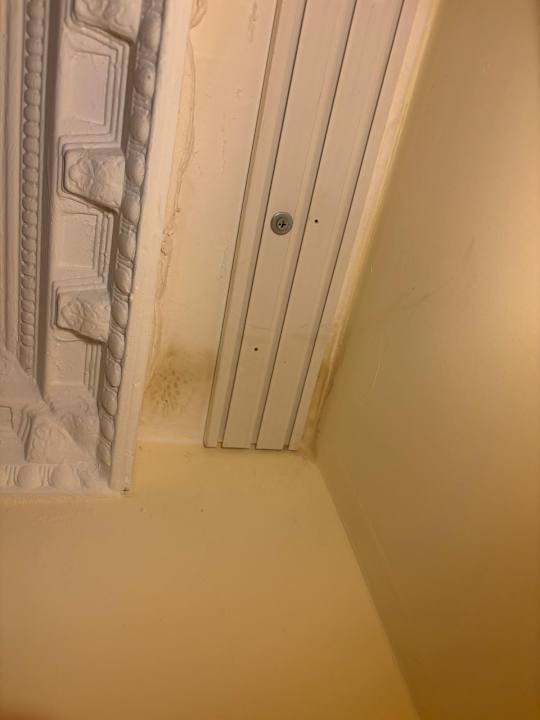 Zimmer Hotel Orfeus Park