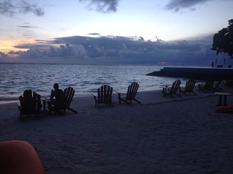 Bar Summer Island Maldives