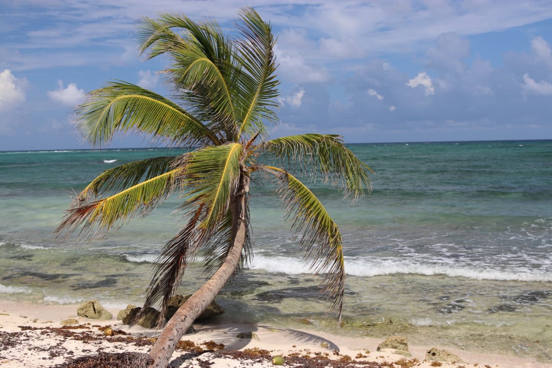 Strand Akumal Bay Beach & Wellness Resort