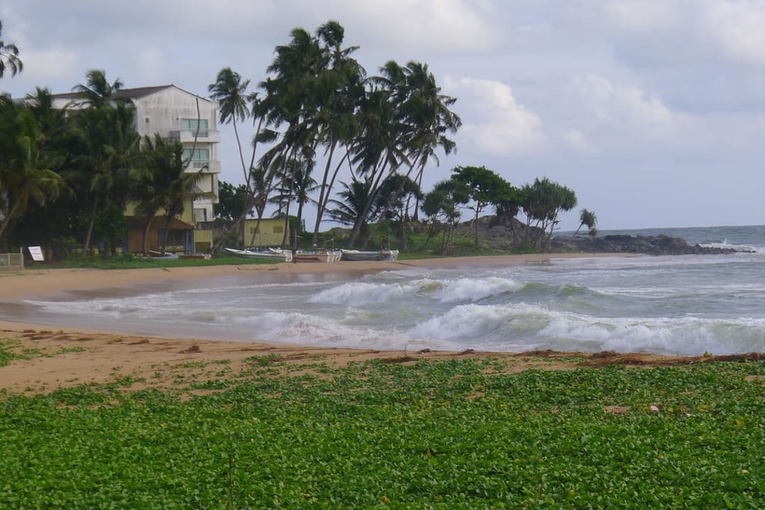 Traumhafter Strand Hotel AIDA II - Induruwa