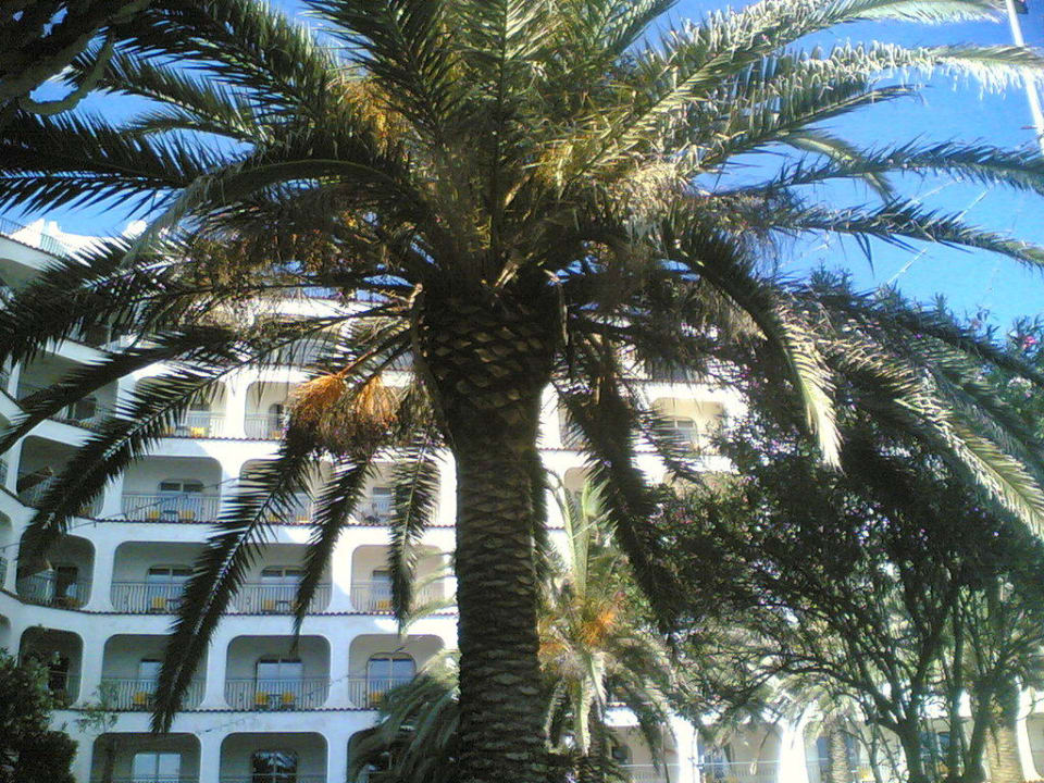 Vista Esterna RG NAXOS Hotel