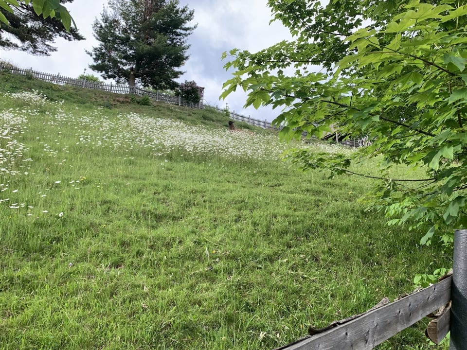 Gartenanlage Familienhotel Berger