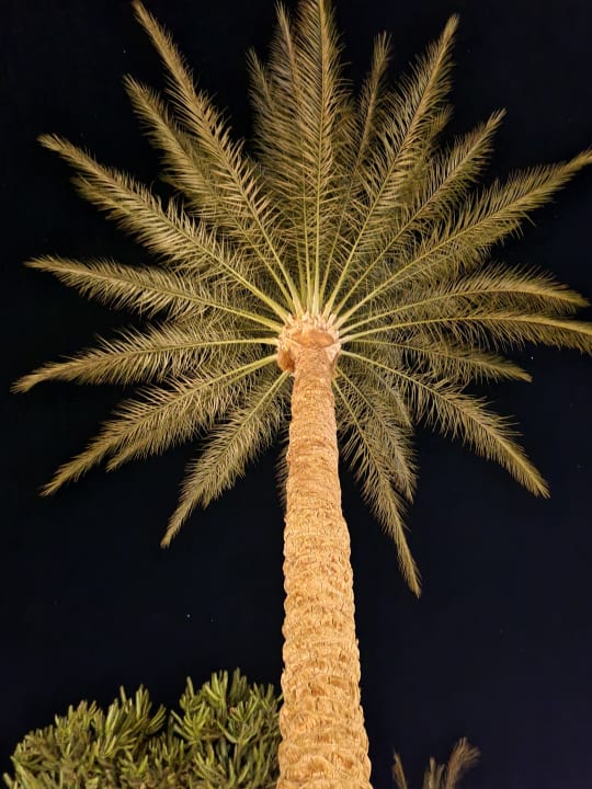 Gartenanlage Jaz Makadi Oasis Resort