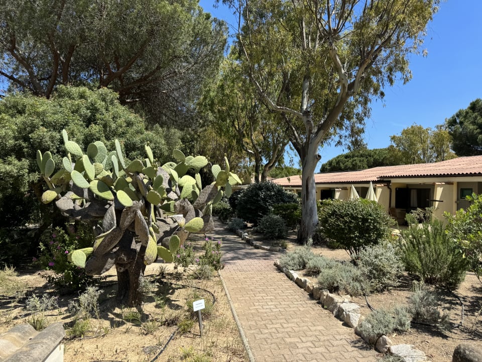 Außenansicht Feriendorf Zum Störrischen Esel