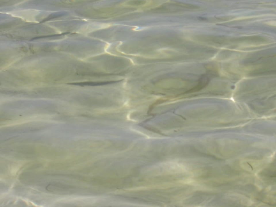 Wasserqualität Catalonia Royal Bavaro - Adults only