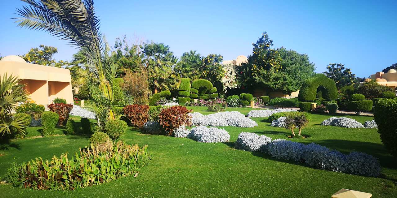 Gartenanlage Wadi Lahmy Azur Resort