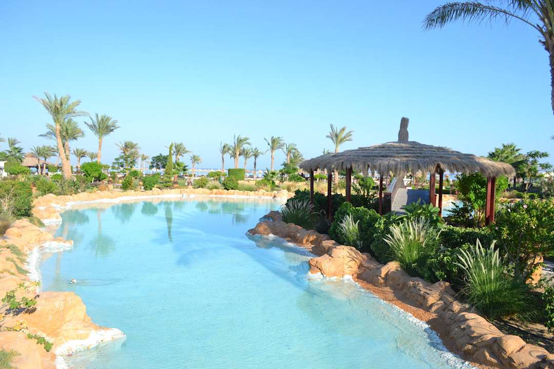 Basen w ogrodzie Regency Plaza Aqua Park & Spa