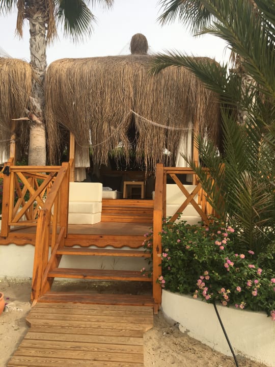 Sonstiges Paloma Oceana
