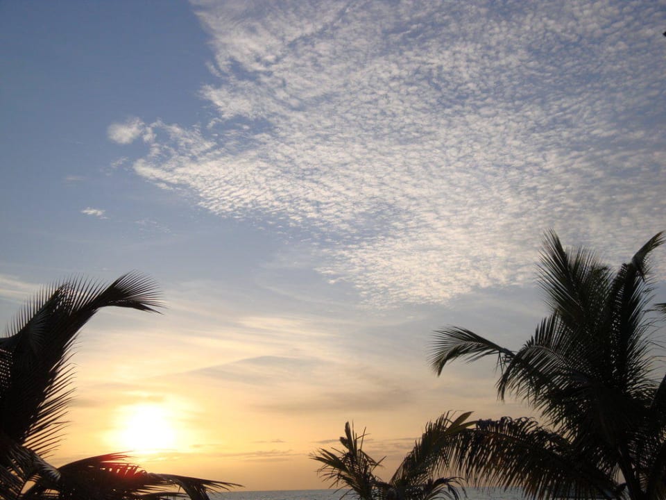 Hotel Meeru Island Resort Meeru Maldives Resort Island