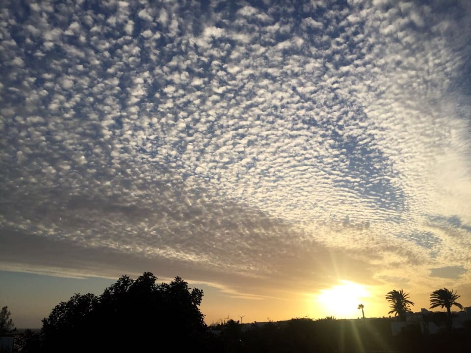 Ausblick allsun App.-Hotel Albatros